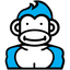 Icon for gmbgorilla.com
