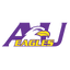 Icon for goashlandeagles.com