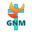 Icon for gogoodnews.net