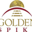 Icon for goldenspikecompany.com