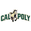 Icon for gopoly.com