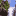 Icon for gospelriver.com