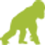 Icon for gracegorillas.org
