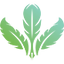 Icon for grammarfactory.com