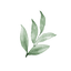 Icon for growingintime.com