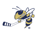 Icon for gthockey.com