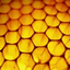 Icon for gtjackets.com