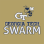 Icon for gtswarm.com