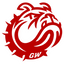 Icon for gwu-today.com