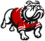 Icon for gwusports.com
