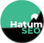 Icon for hatumseo.com