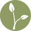 Icon for hellohomestead.com