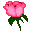 Icon for homes-n-gardens.com
