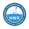 Icon for hopewellnessretreat.com
