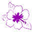 Icon for houseofmahalo.com