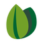Icon for infoamazonia.org