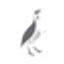 Icon for inkwali.co.za