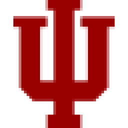 Icon for international.indianapolis.iu.edu
