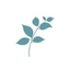 Icon for jane-athome.com