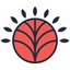 Icon for janehinchliffe.com