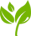 Icon for journeytoconsciousliving.com
