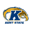 Icon for kentstatesports.com