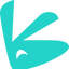 Icon for langaroo.com
