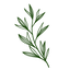 Icon for leafyjournal.com