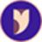 Icon for learn.socratica.com