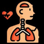 Icon for learnhumannanatomy.com