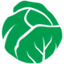 Icon for lettucemeet.com