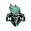 Icon for liberty.wnba.com