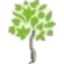 Icon for lifechiropracticcenter.com