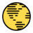 Icon for lingvity.com