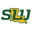 Icon for lionsports.net