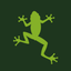 Icon for livingrainforest.org