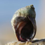 Icon for lukemiller.org