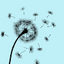 Icon for marsandstarsbaby.com