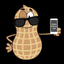 Icon for mediapeanut.com