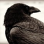 Icon for melindamariealexander.com
