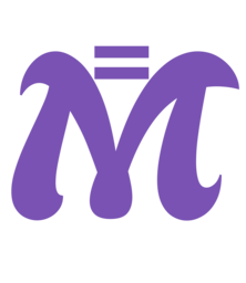 Icon for metricator.com