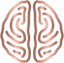 Icon for mindlabneuroscience.com