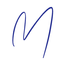 Icon for mindmastermanifest.com