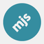Icon for mjs.spideronline.co.uk