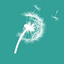 Icon for montessorisoul.com