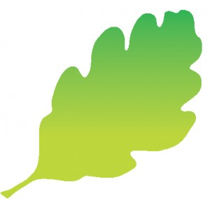 Icon for moorfoot.midlothian.education