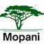Icon for mopanimentalhealthservices.com