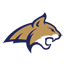 Icon for msubobcats.com