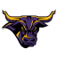 Icon for msumavericks.com