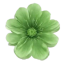 Icon for mygardencraft.com